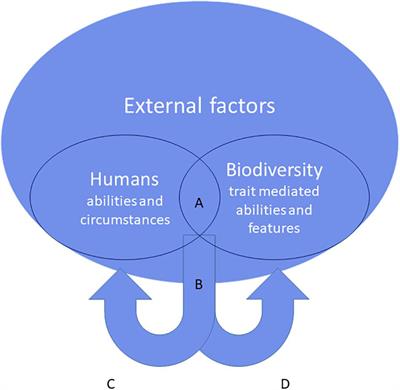 Making Sense of Biodiversity: The Affordances of <mark class="highlighted">Systems Ecology</mark>